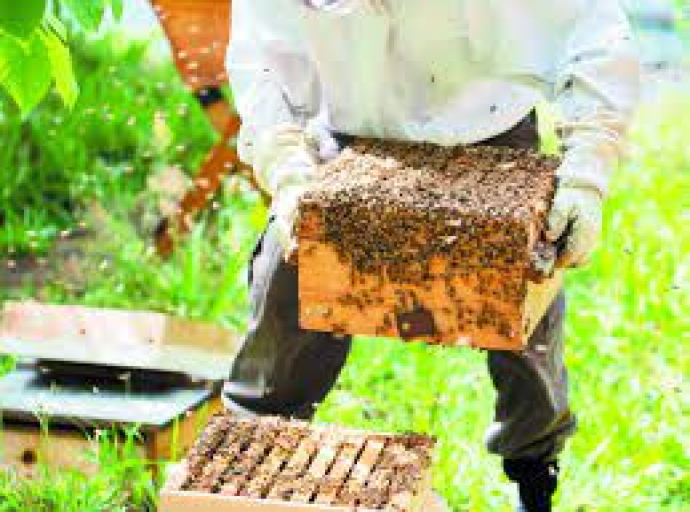 Παράταση περιόδου αναθεώρησης του Μητρώου Μελισσοκόμων